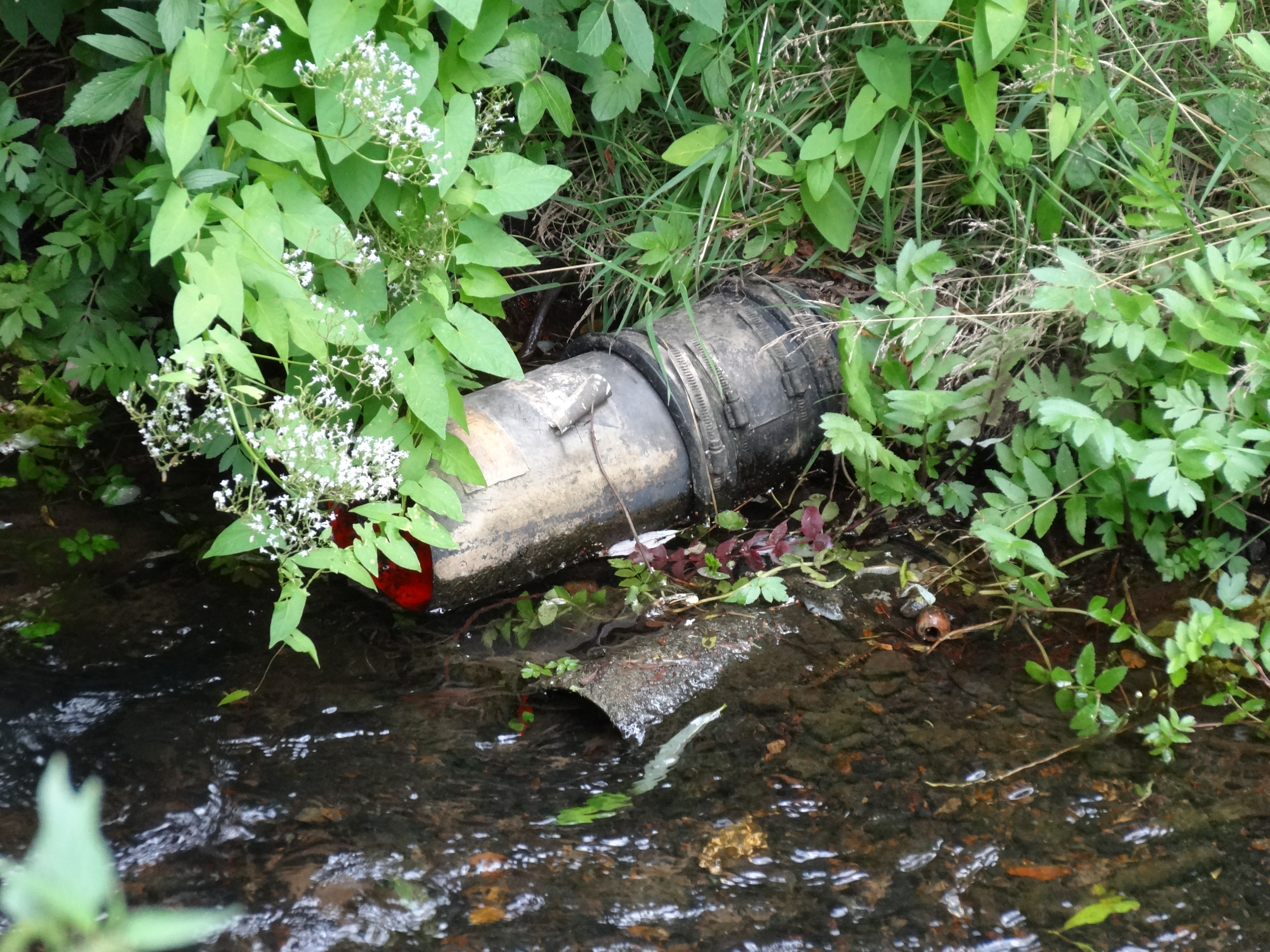 A drainage pipe entering a stream. By closing the drainage pipe, water can be retained in the surrounding area and protect downstream areas from flooding. 