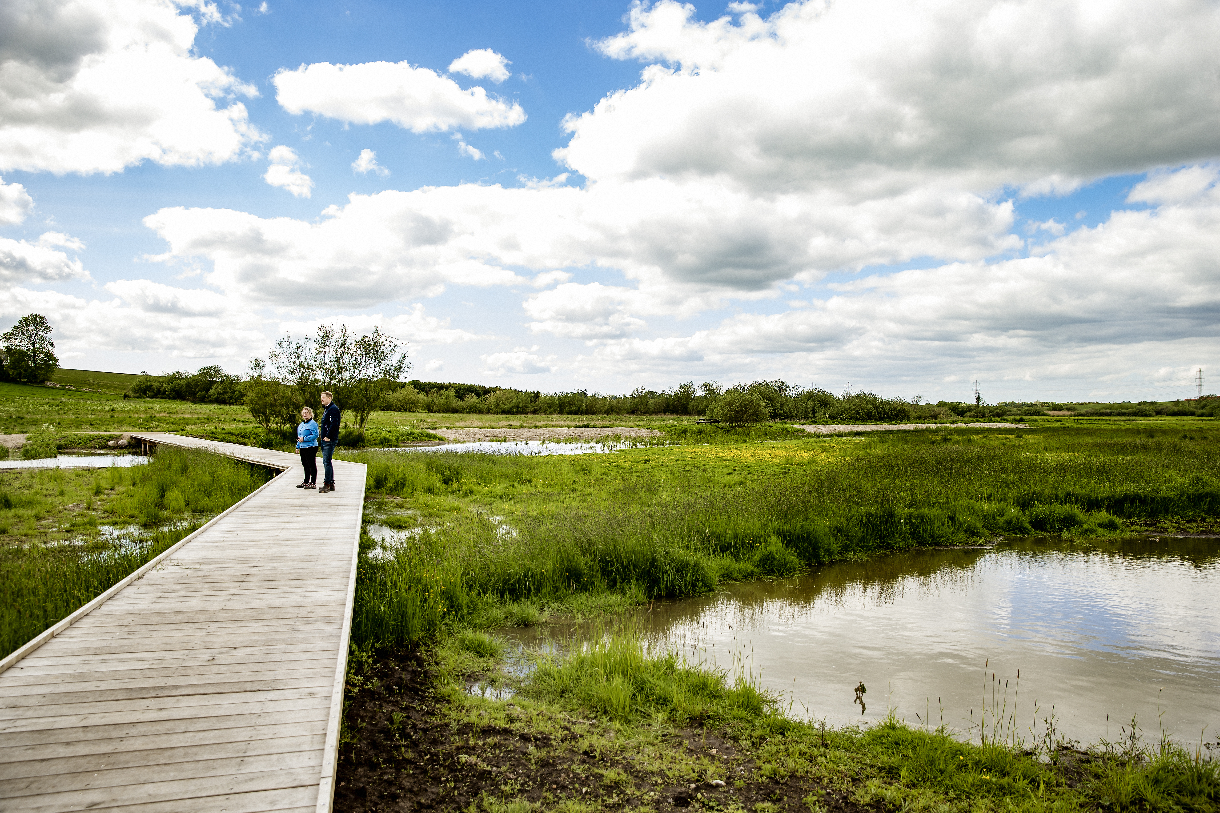 Ringsted aadal in Denmark applied to retain rainwater and hold back flooding water from the stream in periods with high levels of precipitation. Photo: Jon Nordahl