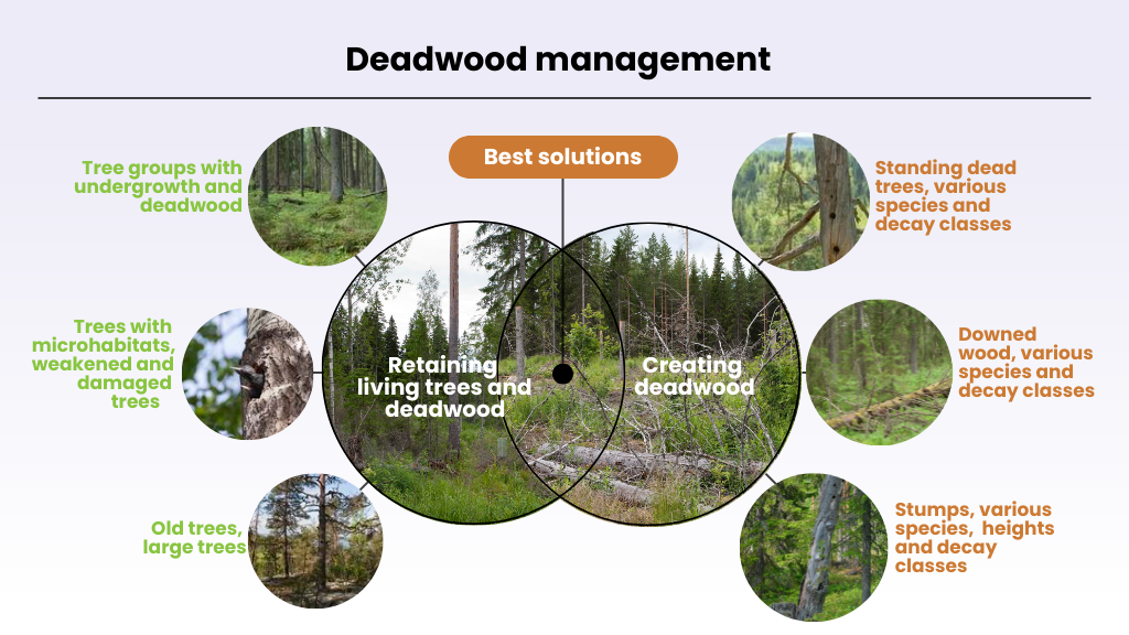 Graphic: Ekaterina Shorohova