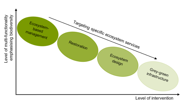 Different types of NbS differ in their level of intervention, their level of ecosystem service delivery including an emphasis on biodiversity, and their targeting for specific ecosystem services. Adapted from Cohen-Shacham et al. 2016.