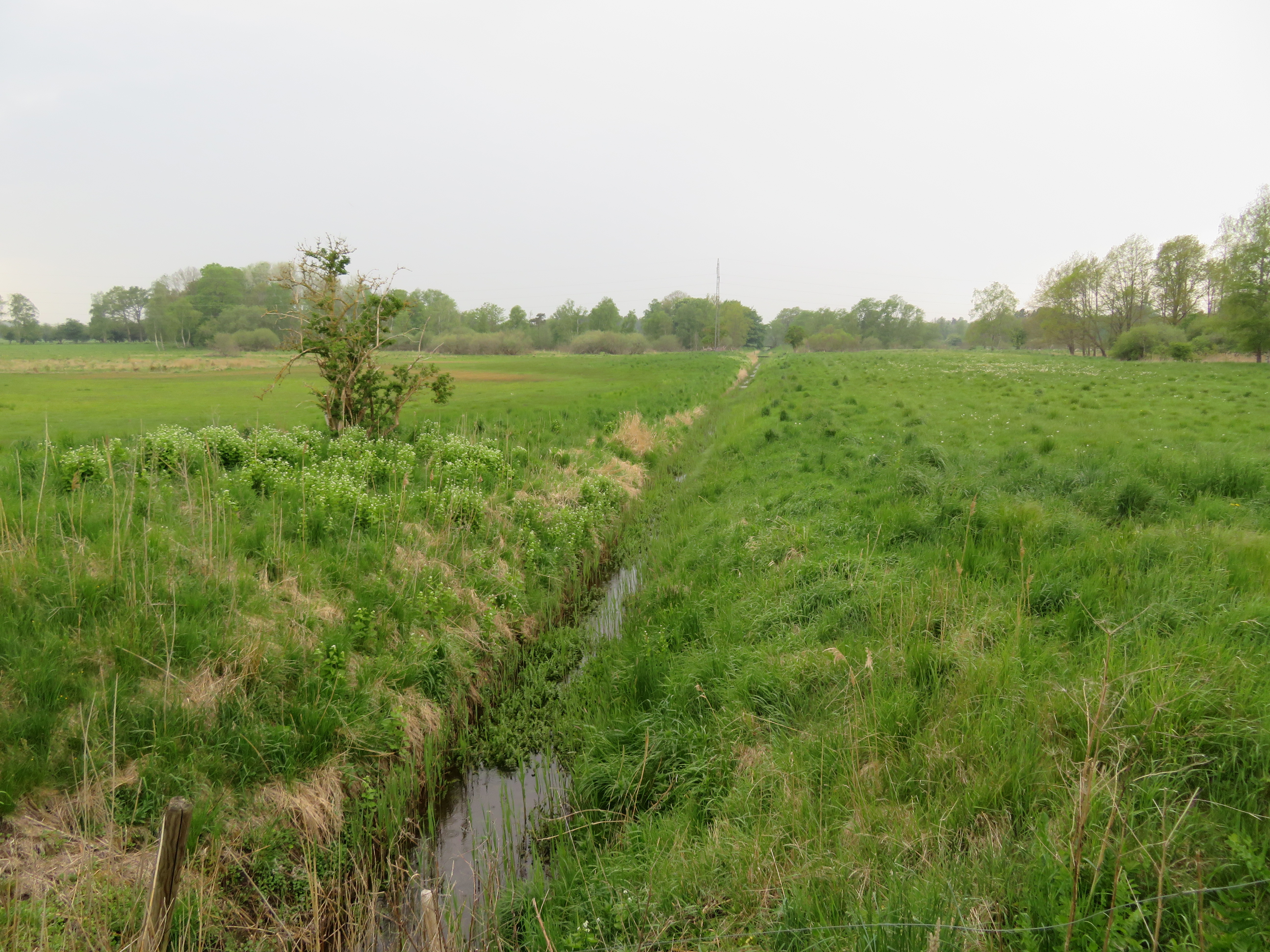 A ditch draining water from surrounding land. The ditch can be closed to hold back water in the area and protect downstream areas from flooding.