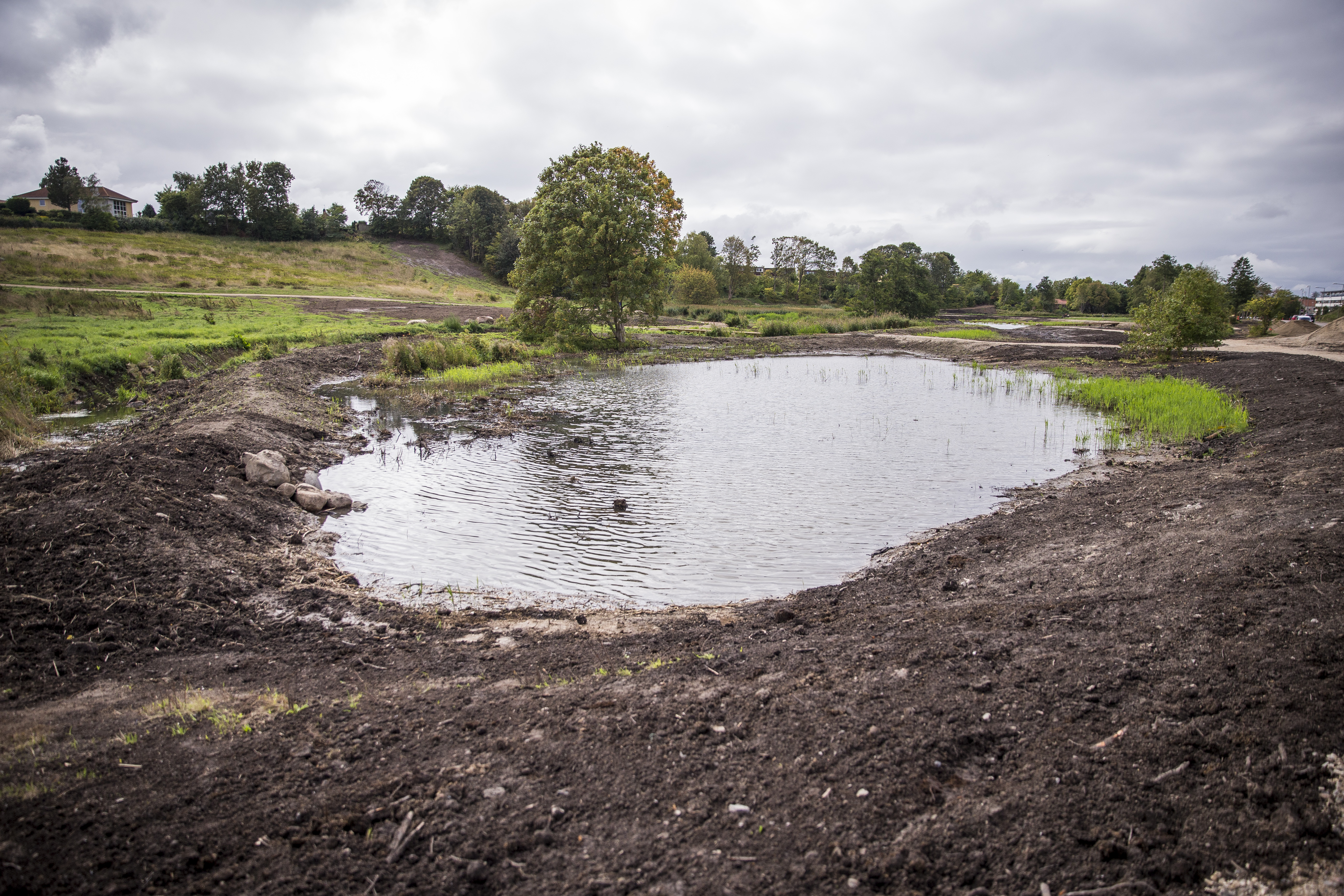 Several ponds were created in the area to halt back water in periods with heavy precipitation events. Photo: Jon Nordahl