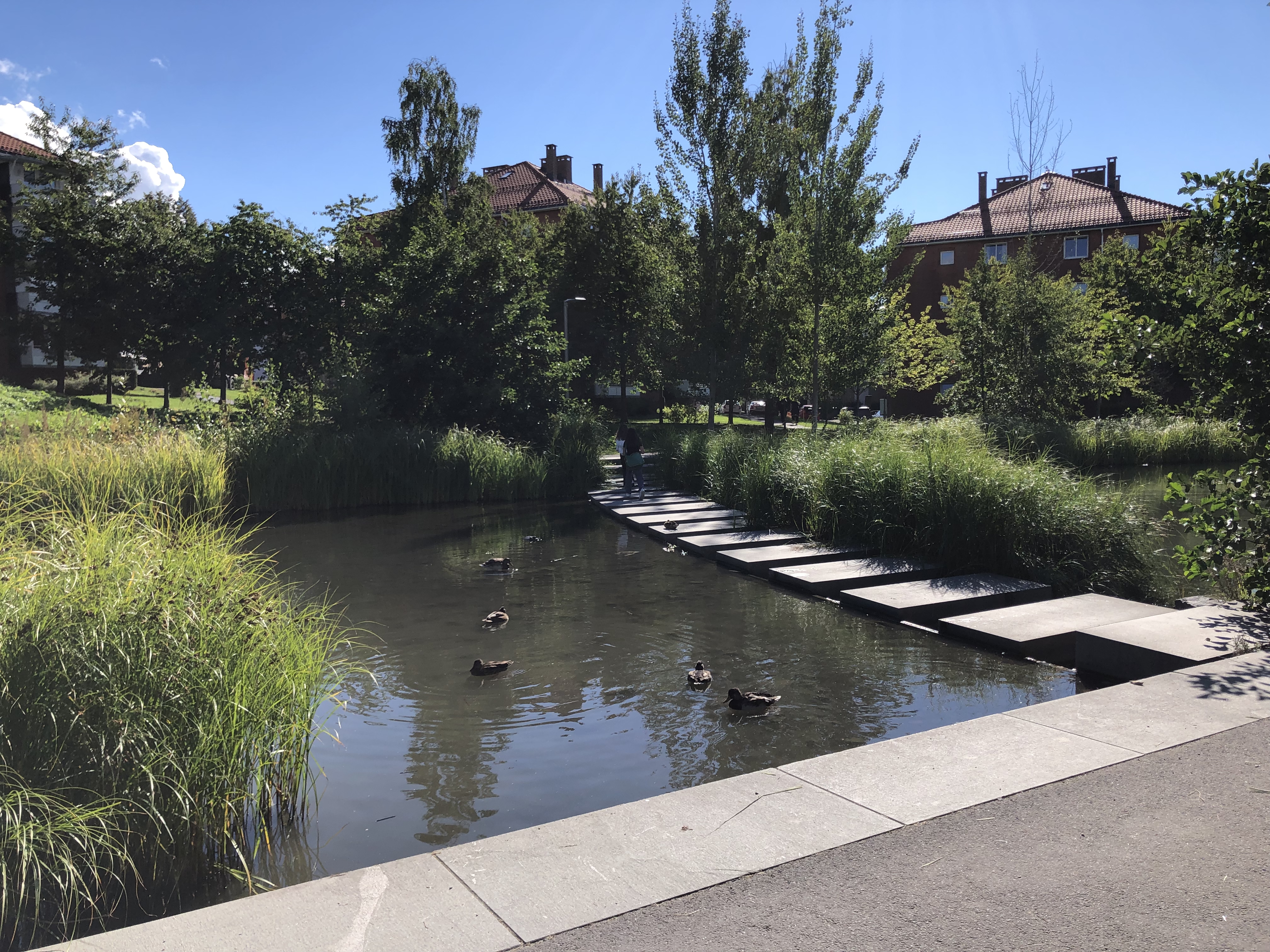 Re-oponed stretch along Hovinbekken (Oslo). Photo: Isabel Seifert-Dähnn (NIVA)