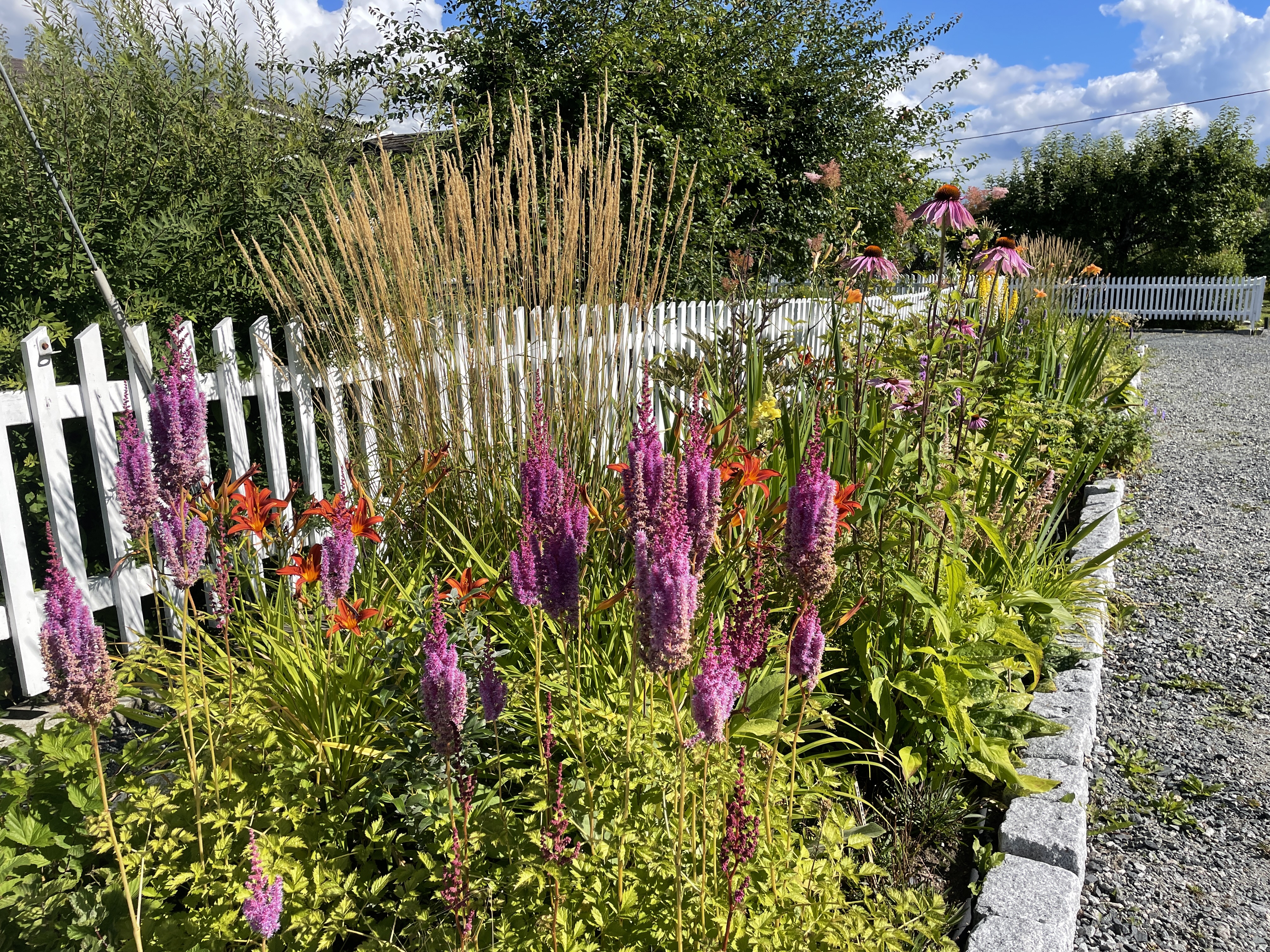 Raingarden in the Sogn Allotment garden. Photo: Line Barkved (NIVA)