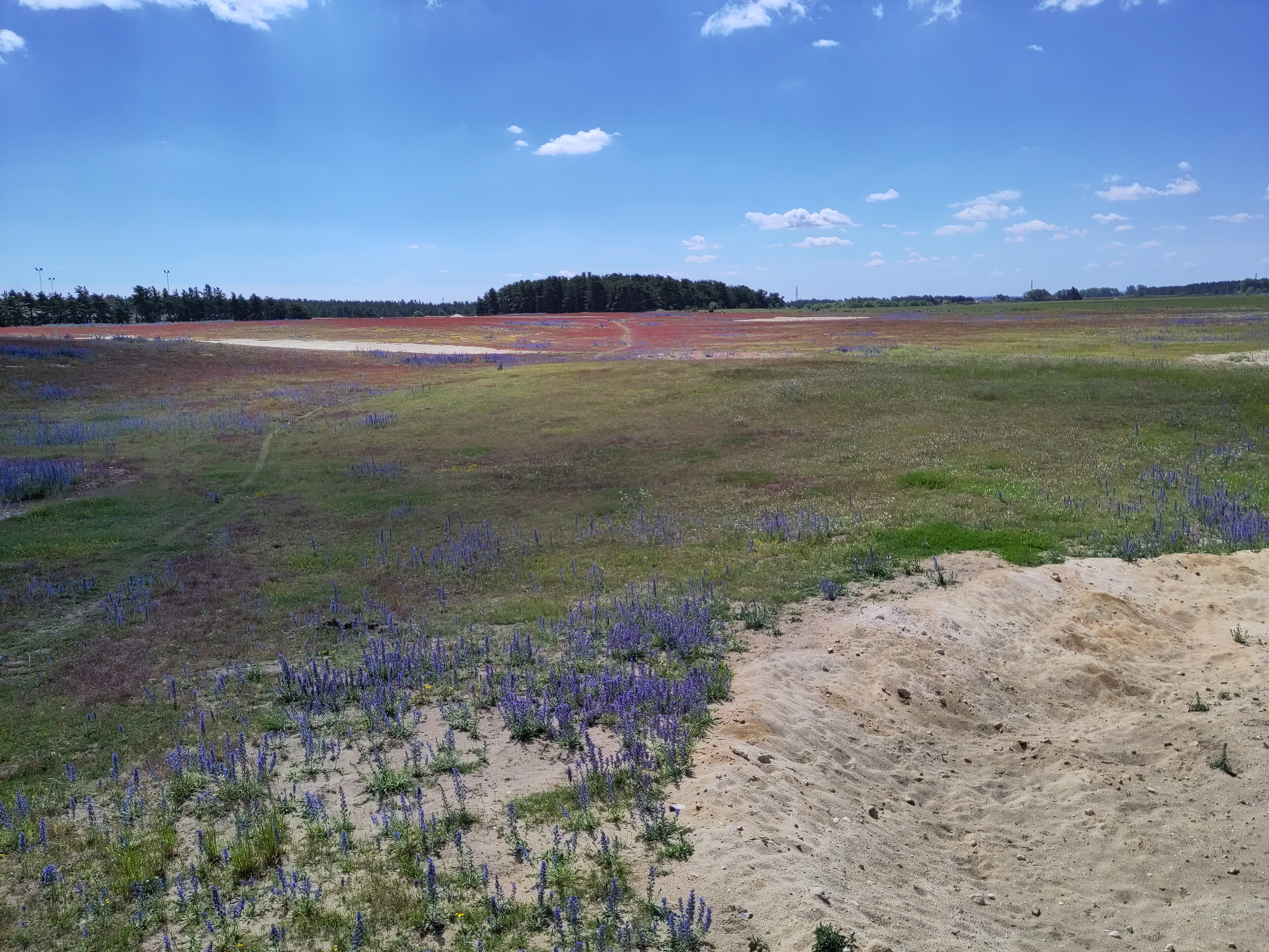Pasture. Photo: Georg Andersson