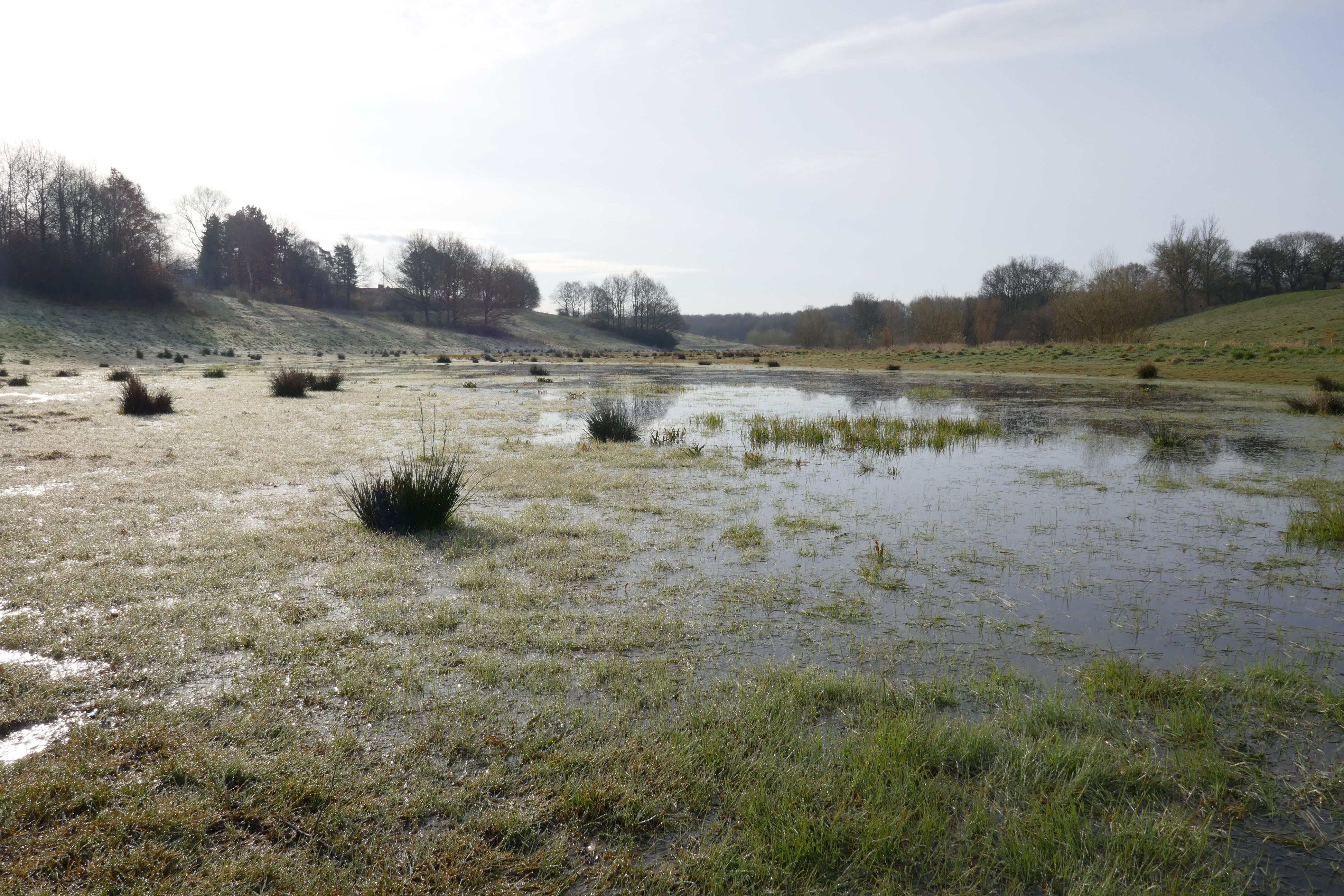 Flooded area following a prolonged period of precipitation. Photo: NIRAS