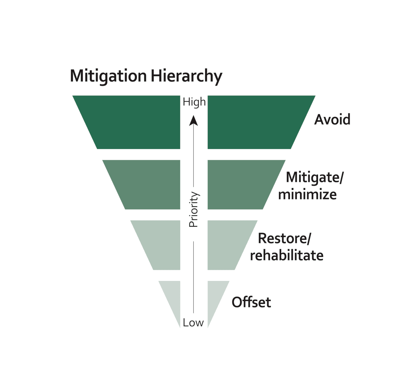 Mitigation Process Pyramid Eelgrass meadow restoration