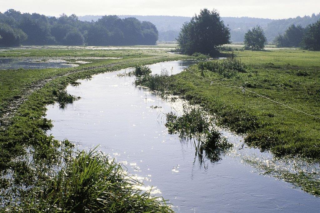 Flooded river valley protecting downstream areas from flooding. Photo: Annette Baattrup-Pedersen