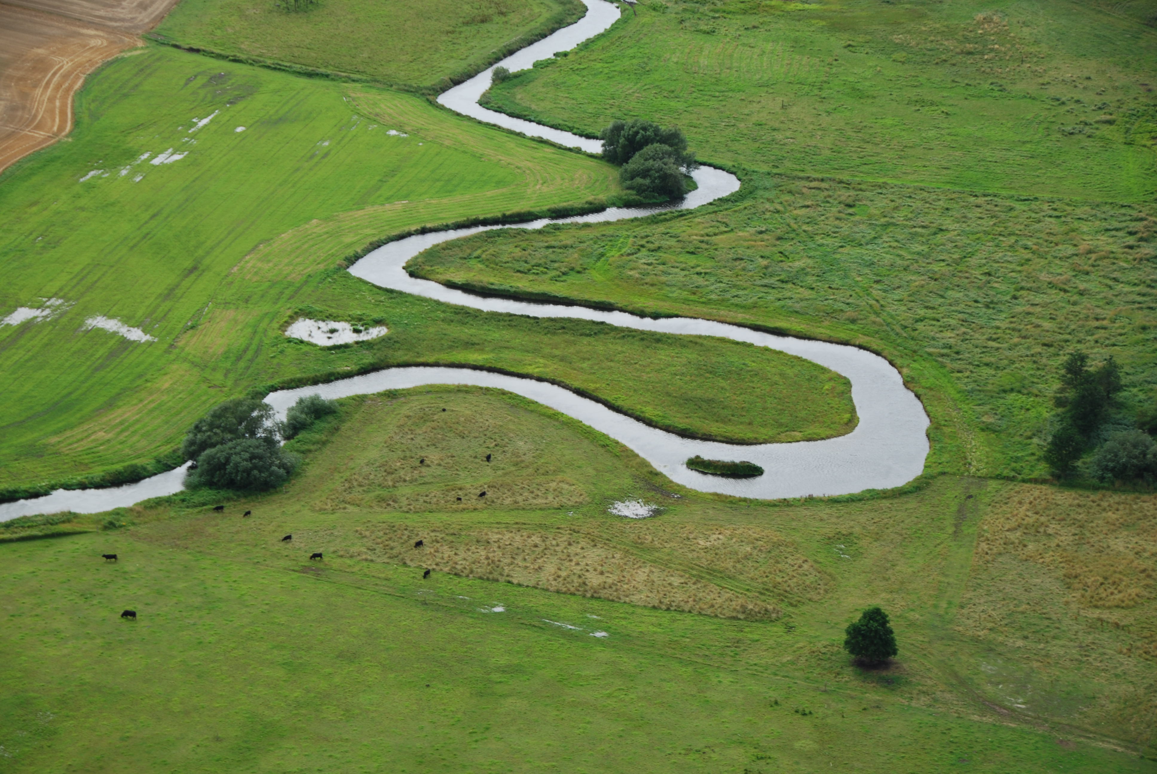 Remeandered river with new curves and backwater areas in the stream valley. Photo: NIRAS