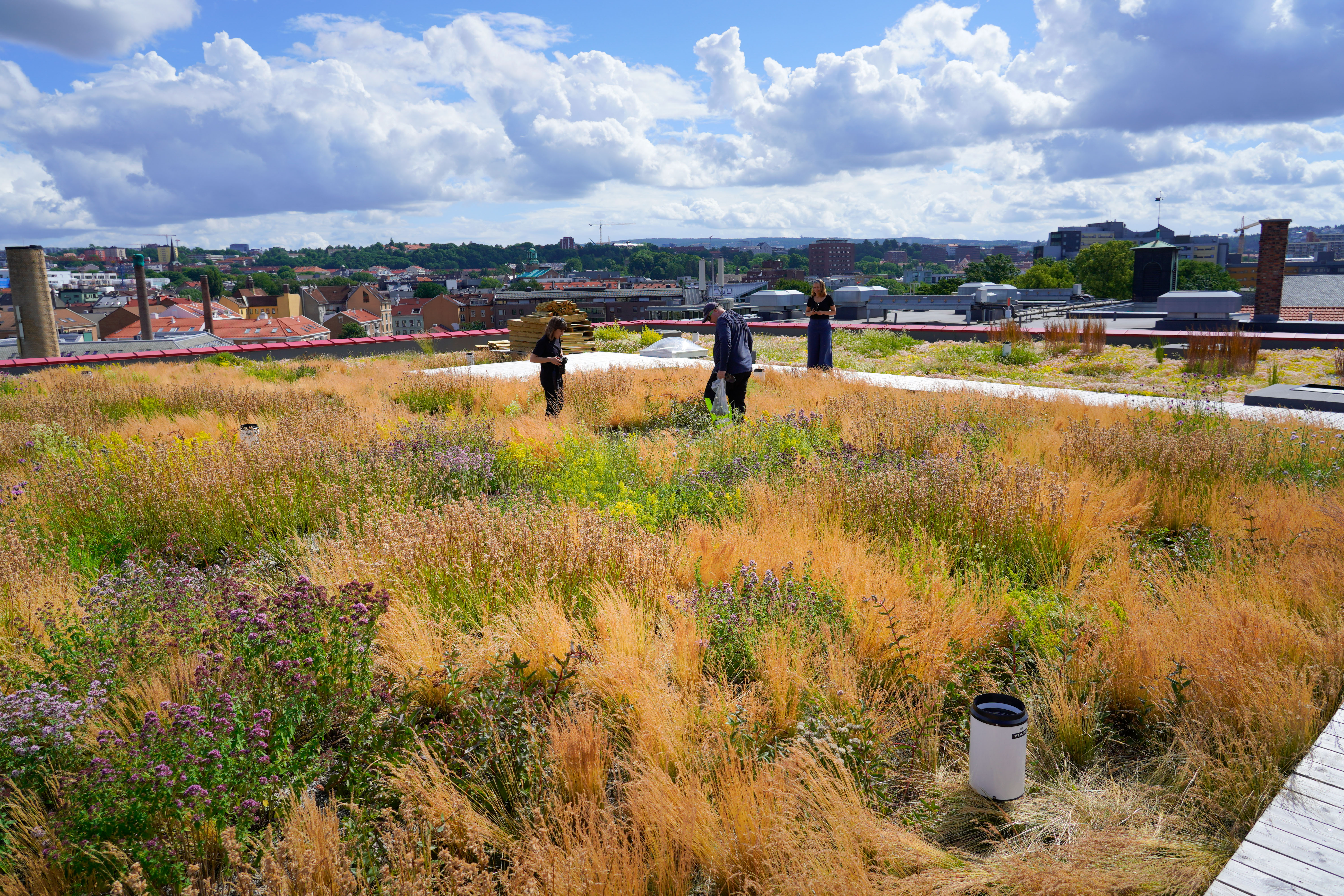 Blue-green roof on Vega scene, Oslo. Photo: Bergknapp
