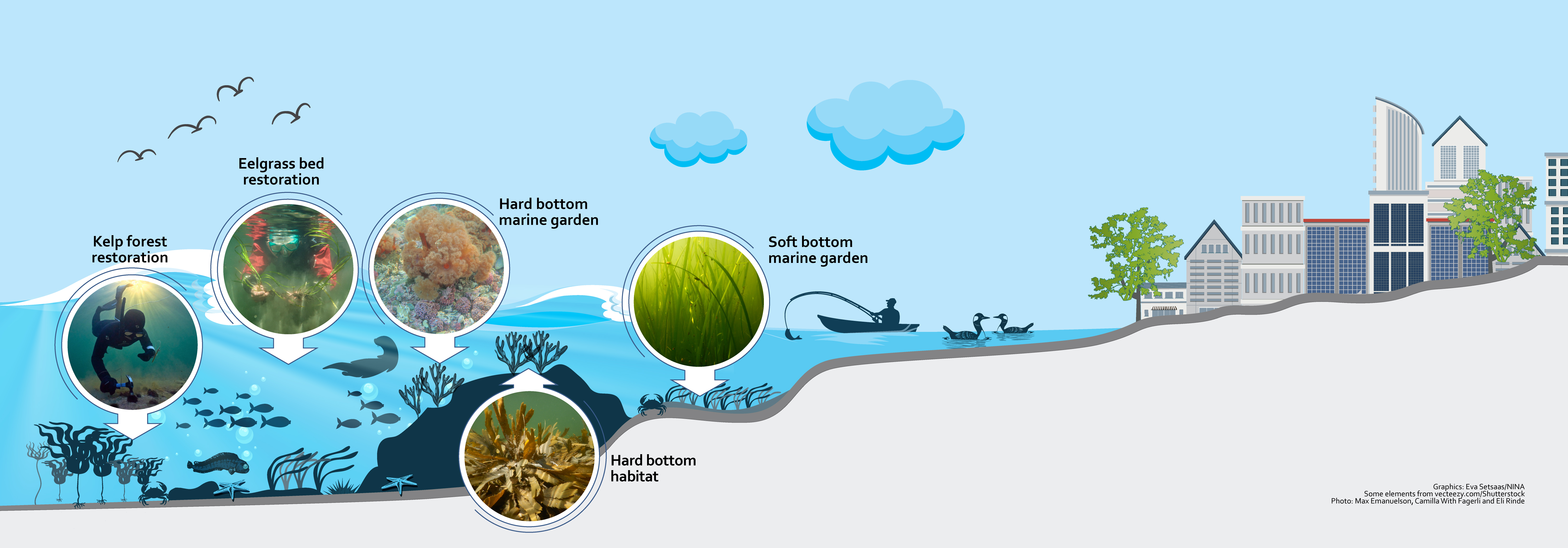 Coastal graphic: After