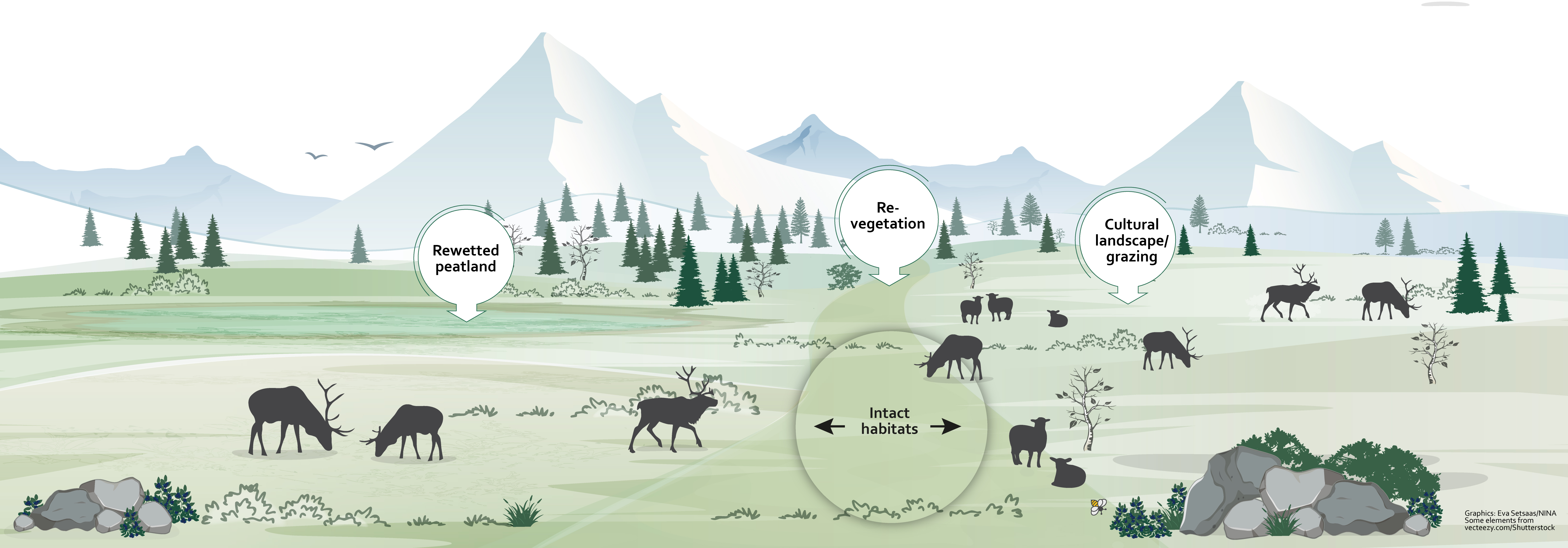 Mountain graphic: After