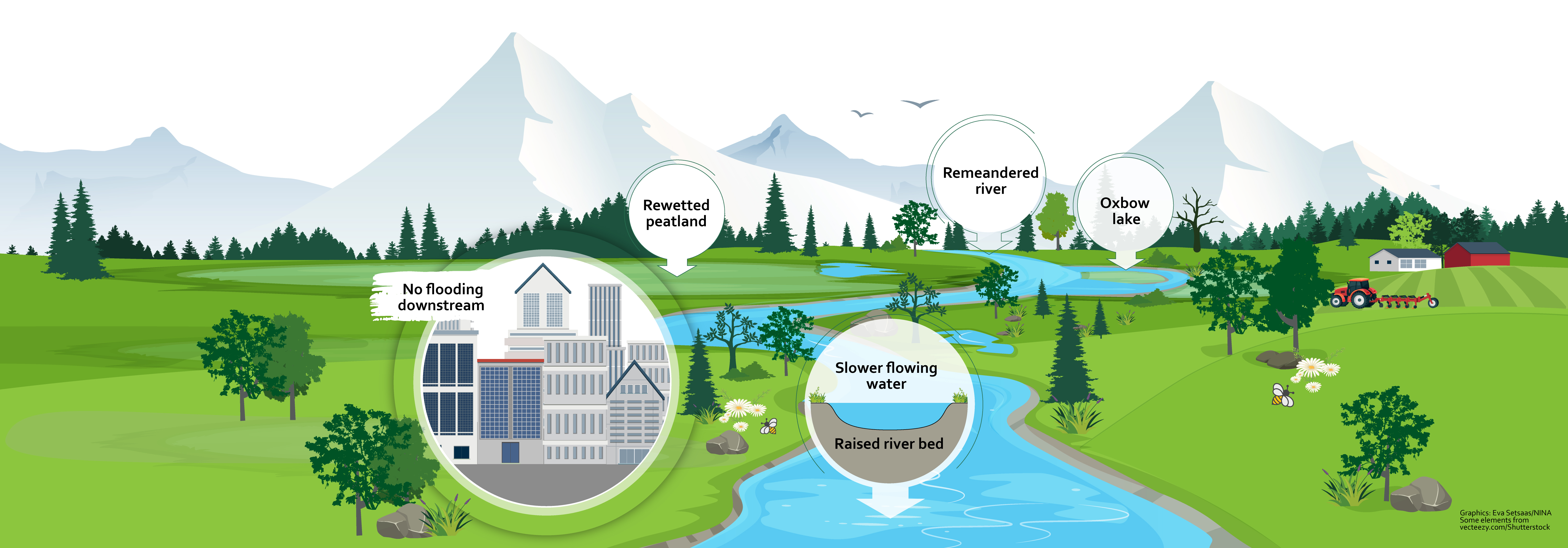 Wetland graphic: after